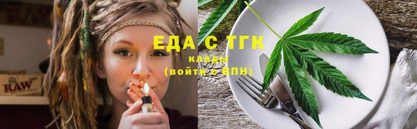 гидра Снежногорск