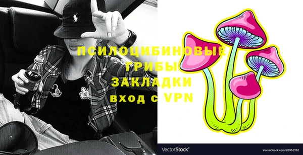 индика Алексеевка