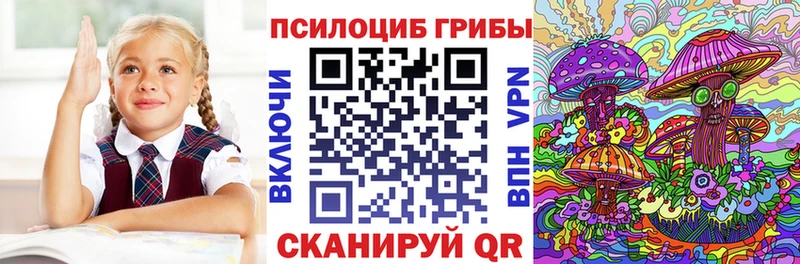 продажа наркотиков  Заволжск  Галлюциногенные грибы Psilocybine cubensis 